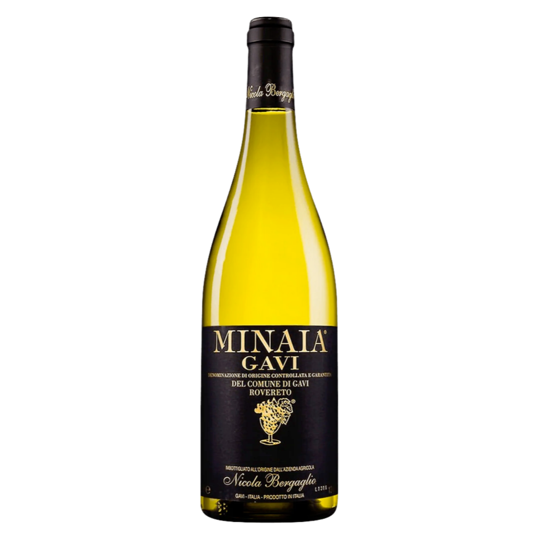 Nicola Bergaglio Gavi Di Gavi Minaia